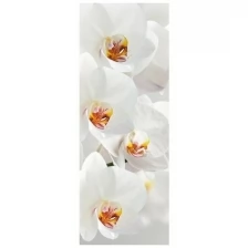 Фотообои Milan Ветка орхидеи, M 123, 100х270 см, виниловые на флизелиновой основе