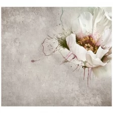 Фотообои цветы Fotooboikin "Белый мак" 300х270