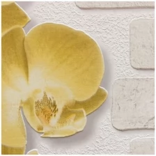 Обои винил на бумаге, Аспект Орхидея - флора 10107-23 10м,0,53