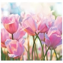Симфония Фотообои В-019 Bellissimo "Весенние тюльпаны" 210*200 см