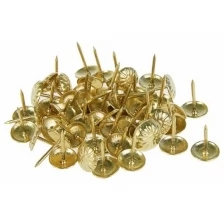 Гвозди декоративные, 16 x 11 мм, фактурные, цвет золото, в упаковке 100 шт.
