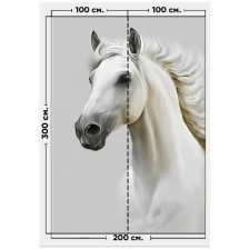Фотообои / флизелиновые обои Белая лошадь 2 x 3 м