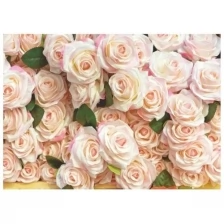 Фотообои B-013 Bellissimo "Роскошные розы", 8 листов 2800х2000мм