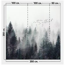 Фотообои / флизелиновые обои Туманный лес 2,5 x 2,5 м