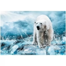 Фотообои Milan Медведь во льдах, M606, 200х135 см, виниловые на флизелиновой основе