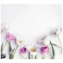 Фотообои Milan Нежные тюльпаны, M3109, 300х270 см, виниловые на флизелиновой основе