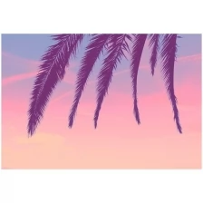 Фотообои виниловые на флизелиновой основе Polimar "Ветви пальмы на закате", Арт. 144-340, 400см х 270см (ШхВ)