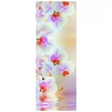 Фотообои Milan Светлая орхидея, M 101, 100х270 см, виниловые на флизелиновой основе