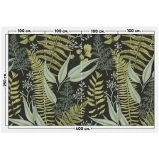 Фотообои / флизелиновые обои Травы на черном 4 x 2,5 м