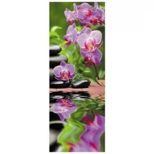 Фотообои Milan СПА орхидея, M 104, 100х270 см, виниловые на флизелиновой основе