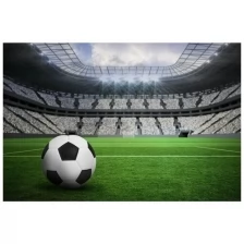 Фотообои Milan Футбол, M688, 200х135 см, виниловые на флизелиновой основе