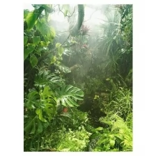 Фотообои Fotooboikin "Тропический лес" 200х270