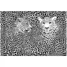 Фотообои Milan Черно-белые леопарды, M604, 200х135 см, виниловые на флизелиновой основе