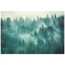 Фотообои 3 д Fotooboikin "Туманный лес " 400х270