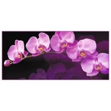 Фотообои Тула VIP Зеркальная орхидея 6 листов 294х134 см