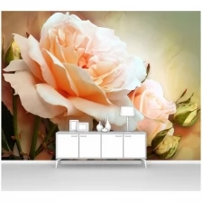 Фотообои на стену первое ателье "Прекрасная розовая роза" 400х290 см (ШхВ), флизелиновые Premium