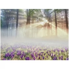 Фотообои Milan Утро в лесу, M638, 200х135 см, виниловые на флизелиновой основе
