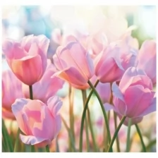 Фотообои Симфония "Весенние тюльпаны" V-019