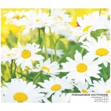 Симфония Фотообои К-118 «Ромашковое настроение» (6 листов), 210 × 200 см