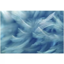 Фотообои виниловые на флизелиновой основе Polimar "Нежные перья", Арт. 144-450, 400см х 270см (ШхВ)