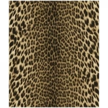 Обои виниловые Roberto Cavalli 7 Леопардовый принт коричневый яркий 10,5х1,06 м (18029)