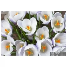 Фотообои К-057 «Утренняя весна» (16 листов), 280 × 200 см