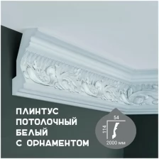 Карниз с орнаментом Fabello Decor C 124, плинтус потолочный белый грунтованный из полиуретана, профиль для потолка, 54*114*2000 мм