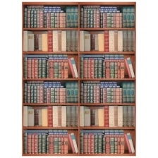 Фотообои Milan Книжный шкаф, M229, 200х270 см, виниловые на флизелиновой основе
